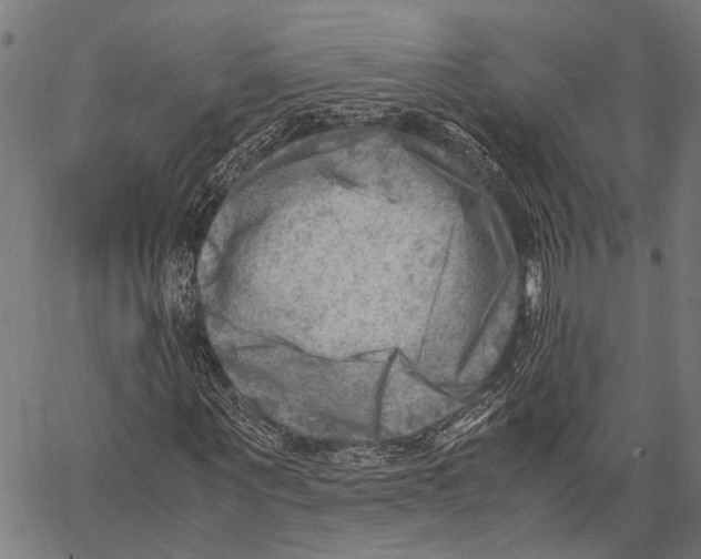 X0000062130867200601060855