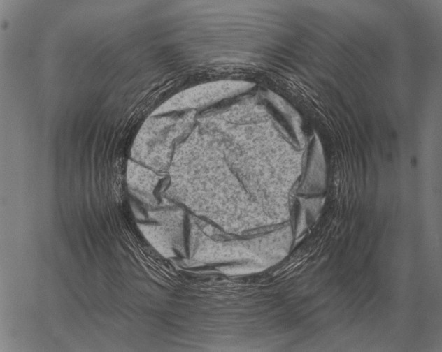 X0000062130868200601060855