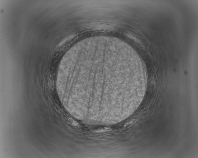 X0000062130869200601060855