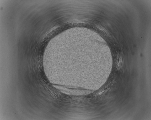 X0000062130870200601060855