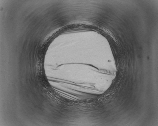 X0000062130872200601060855