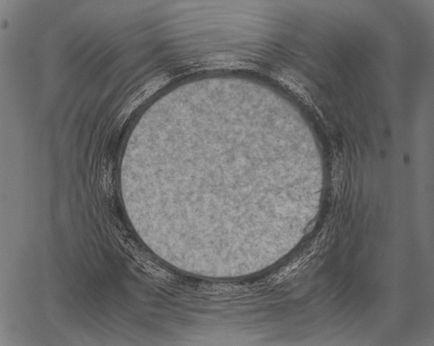 X0000062130873200601060855