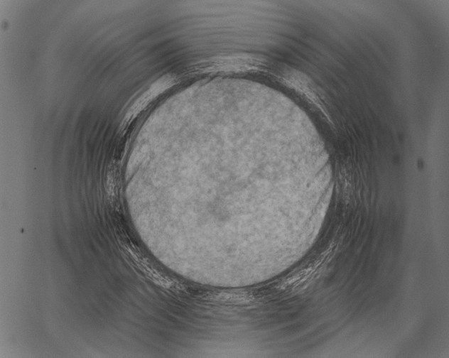 X0000062130874200601060855