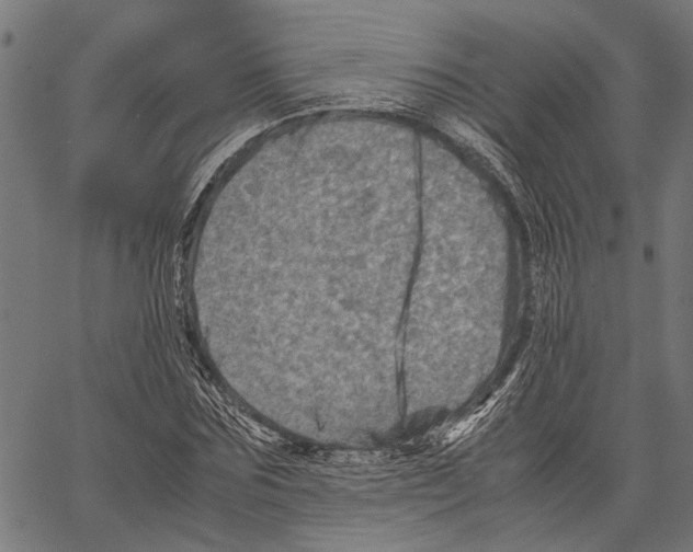 X0000062130875200601060855