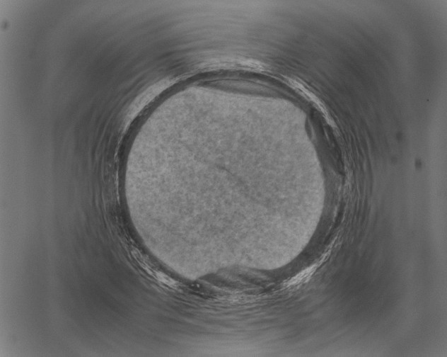 X0000062130877200601060855