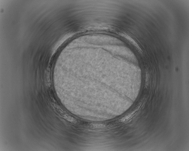 X0000062130878200601060855