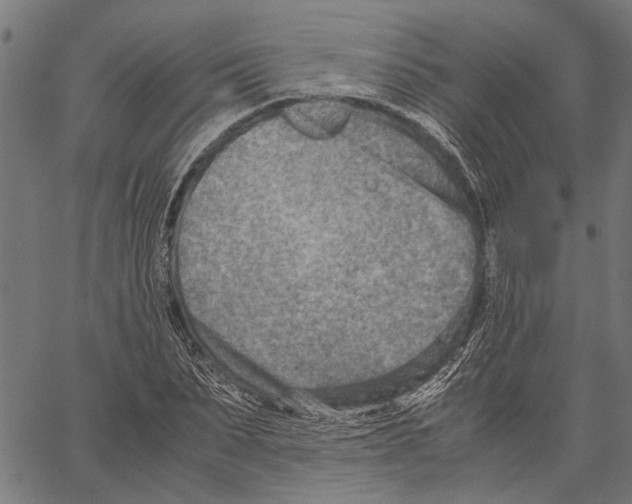 X0000062130879200601060855