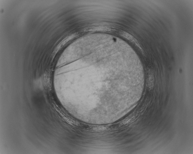 X0000062130882200601060855