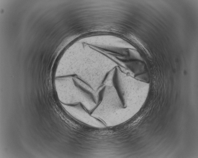 X0000062130884200601060855