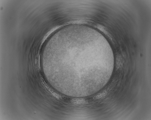 X0000062130886200601060854