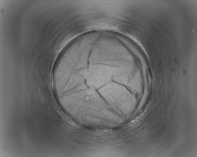 X0000062130887200601060854