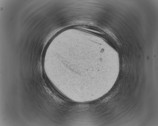 X0000062130888200601060854