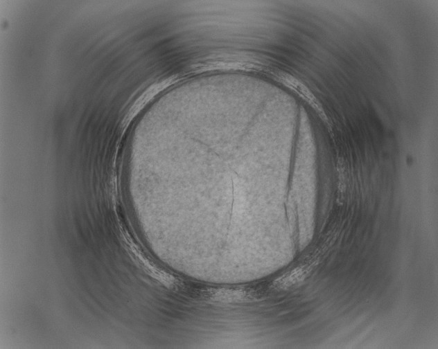 X0000062130890200601060854