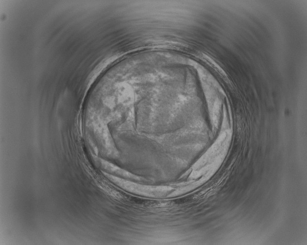 X0000062130891200601060854