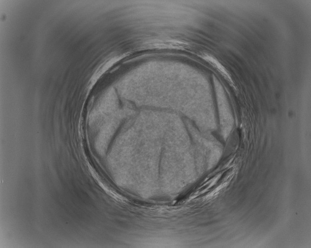 X0000062130893200601060854