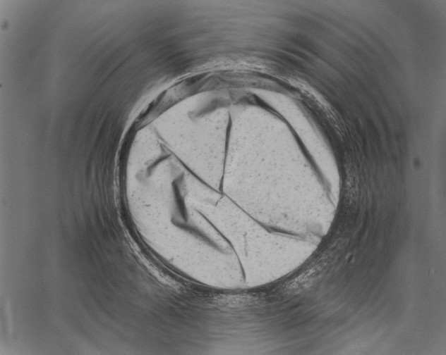 X0000062130894200601060854