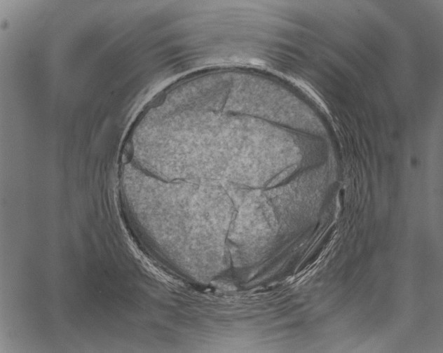 X0000062130895200601060854