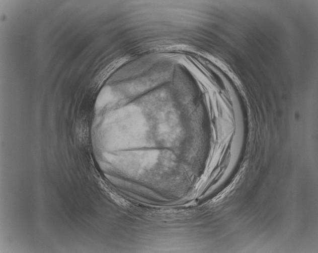 X0000062130897200601060854