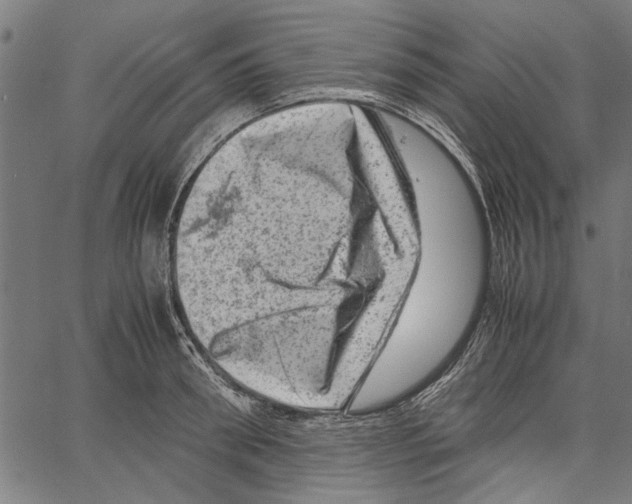 X0000062130898200601060854