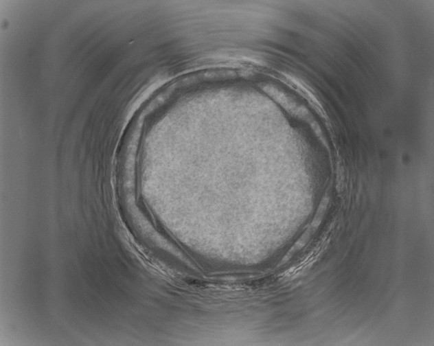 X0000062130899200601060854