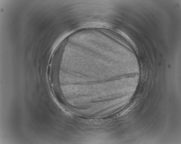 X0000062130901200601060854