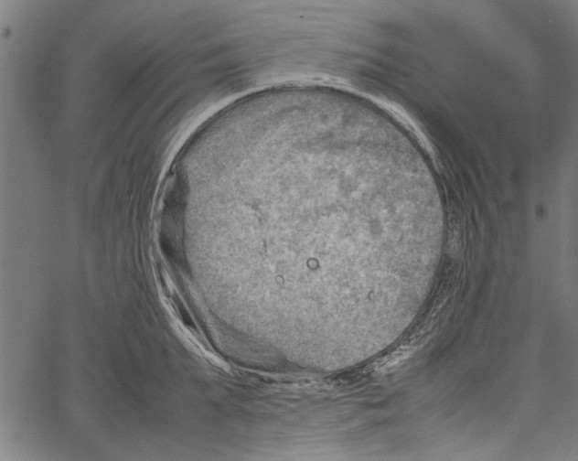 X0000062130903200601060854