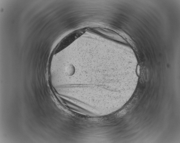 X0000062130904200601060854