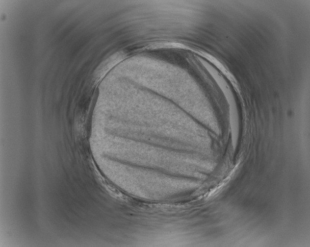 X0000062130905200601060854