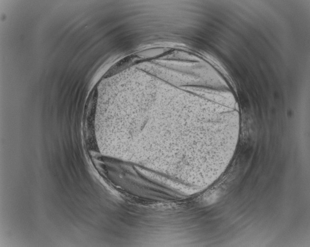 X0000062130906200601060854