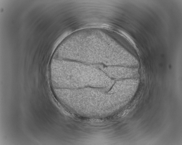 X0000062130907200601060854