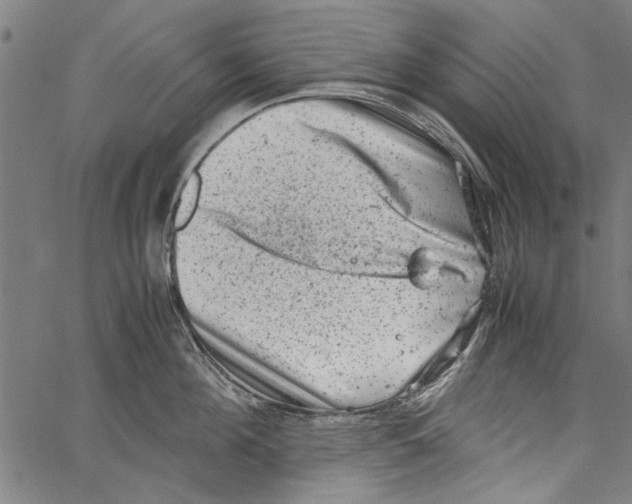 X0000062130908200601060854