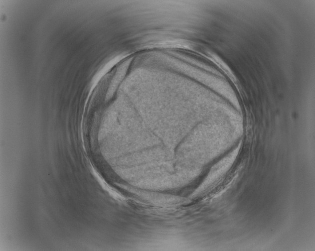 X0000062130909200601060854