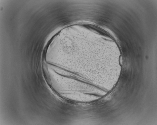 X0000062130910200601060854