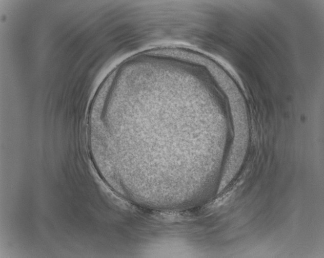 X0000062130911200601060854