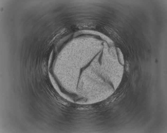 X0000062130915200601060853