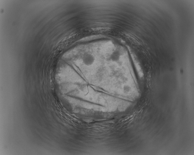 X0000062130917200601060853