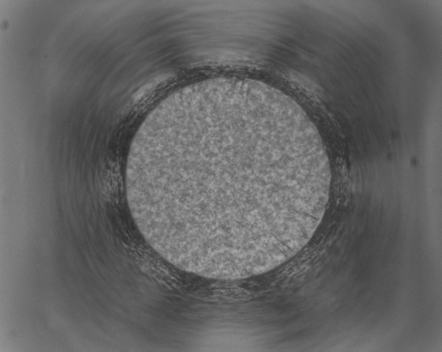 X0000062130918200601060853