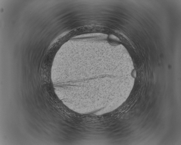 X0000062130919200601060853