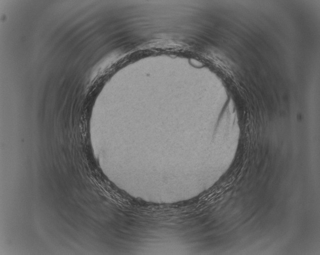 X0000062130920200601060853