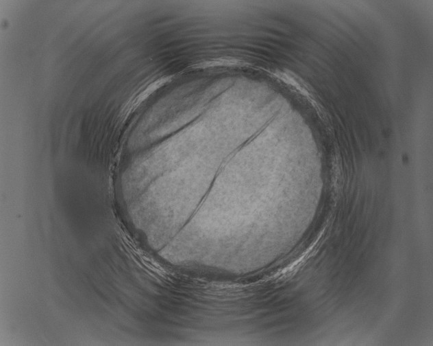 X0000062130921200601060853