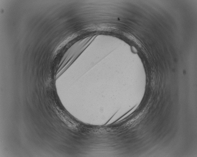 X0000062130922200601060853