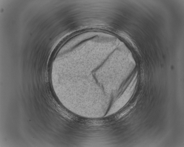 X0000062130924200601060853