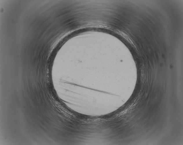 X0000062130926200601060853