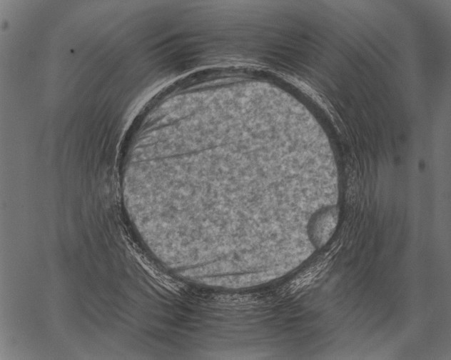 X0000062130927200601060853