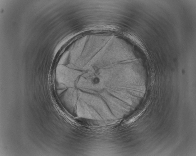 X0000062130928200601060853