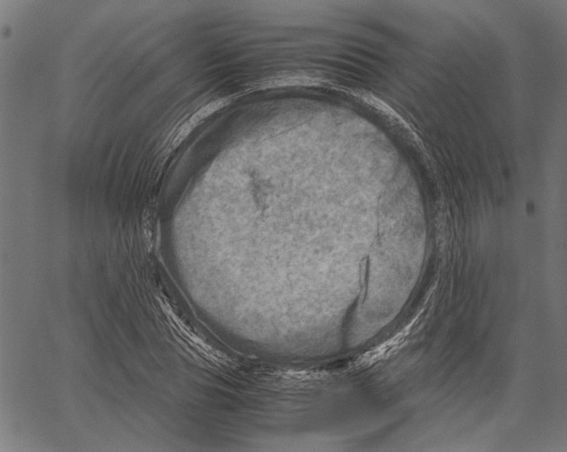 X0000062130929200601060853