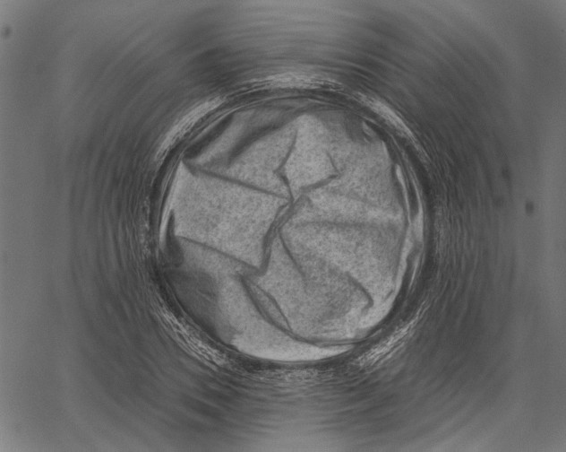 X0000062130930200601060853