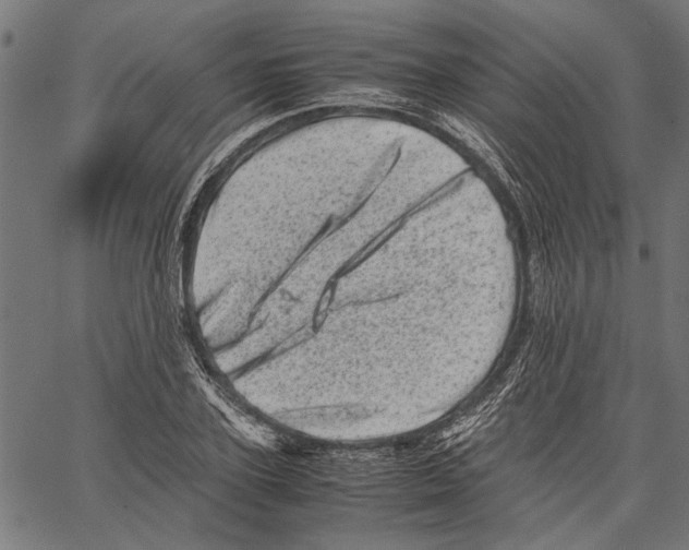 X0000062130931200601060853