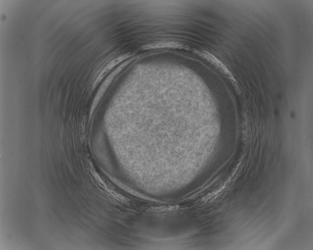 X0000062130937200601060854