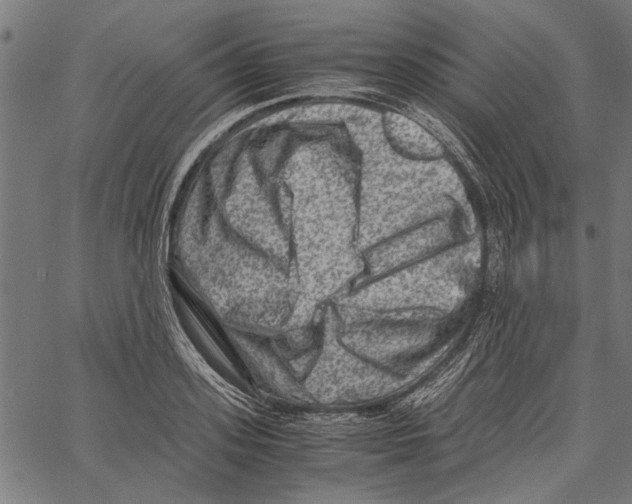 X0000062130939200601060854